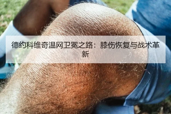 de-yue-ke-wei-qi-wen-wang-wei-mian-zhi-lu-xi-shang-hui-fu-yu-zhan-shu-ge-xin-1-387.jpg