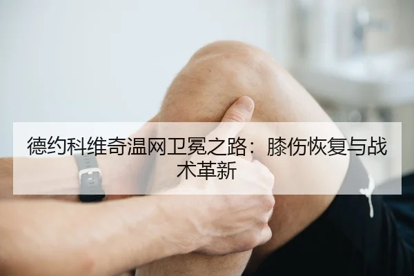 de-yue-ke-wei-qi-wen-wang-wei-mian-zhi-lu-xi-shang-hui-fu-yu-zhan-shu-ge-xin-2-733.jpg