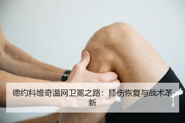 de-yue-ke-wei-qi-wen-wang-wei-mian-zhi-lu-xi-shang-hui-fu-yu-zhan-shu-ge-xin-3-553.jpg