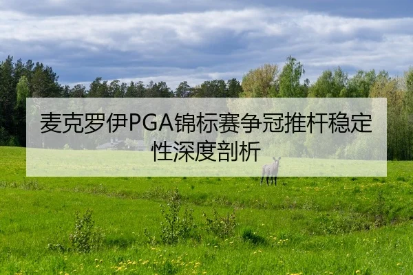 mai-ke-luo-yi-jin-biao-sai-zheng-guan-tui-gan-wen-ding-xing-shen-du-pou-xi-2-462.jpg