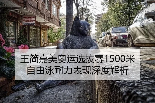 wang-jian-jia-mei-ao-yun-xuan-ba-sai-mi-zi-you-yong-nai-li-biao-xian-shen-du-jie-xi-2-602.jpg