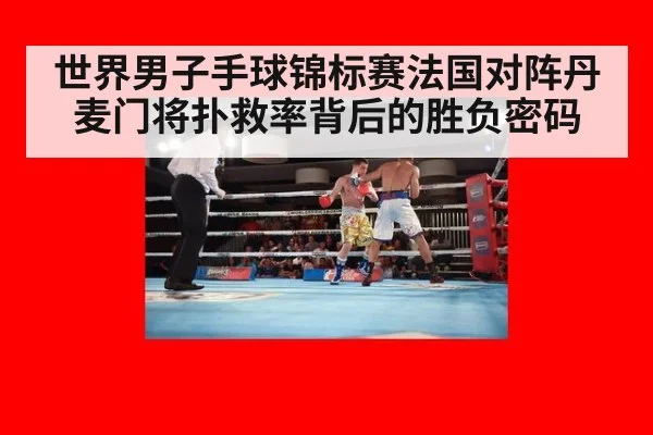 世界男子手球锦标赛法国对阵丹麦门将扑救率背后的胜负密码